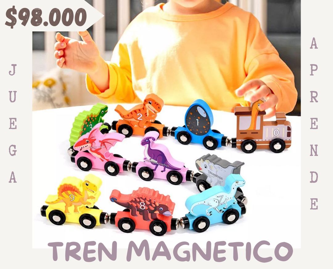 Tren Magnético