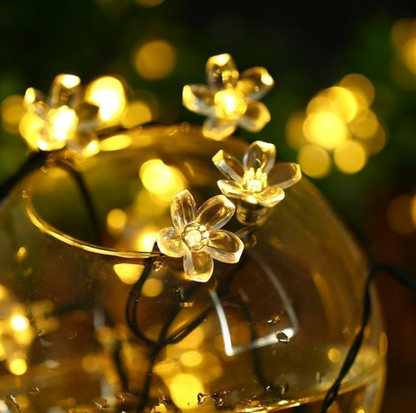 Garden Glow Garland (Luces Flores 5mtrs )