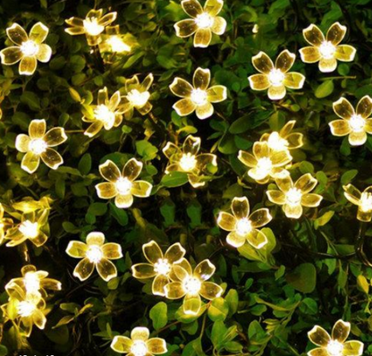 Garden Glow Garland (Luces Flores 5mtrs )