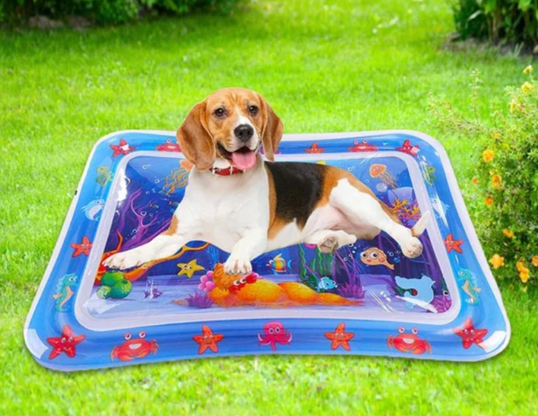 PetCool Mat (Tapete Agua )