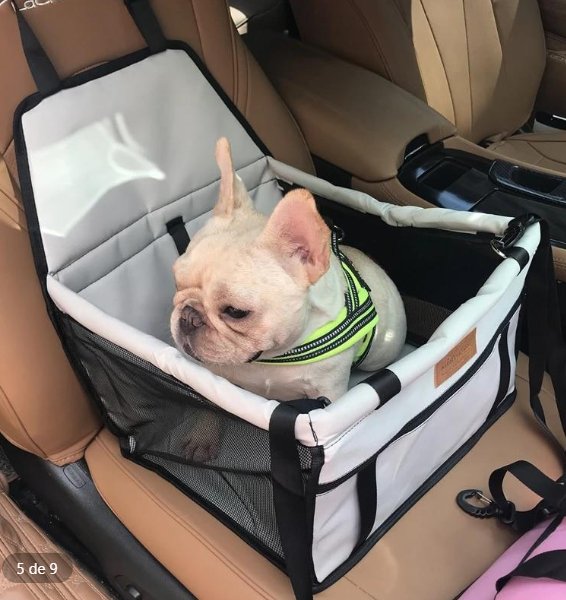 SafeRide Pet Seat (Silla para  Mascotas )