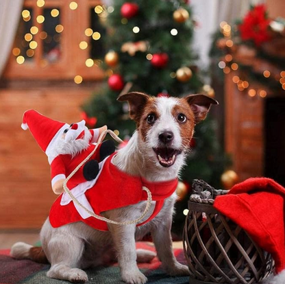 Traje Navideño Peludito